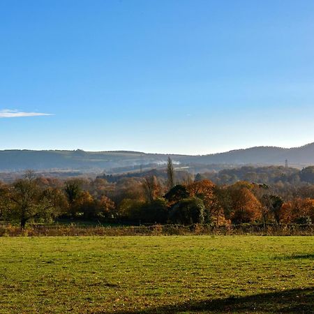 피터스필드 Garden Flat Near Goodwood With Stunning Views 아파트 외부 사진