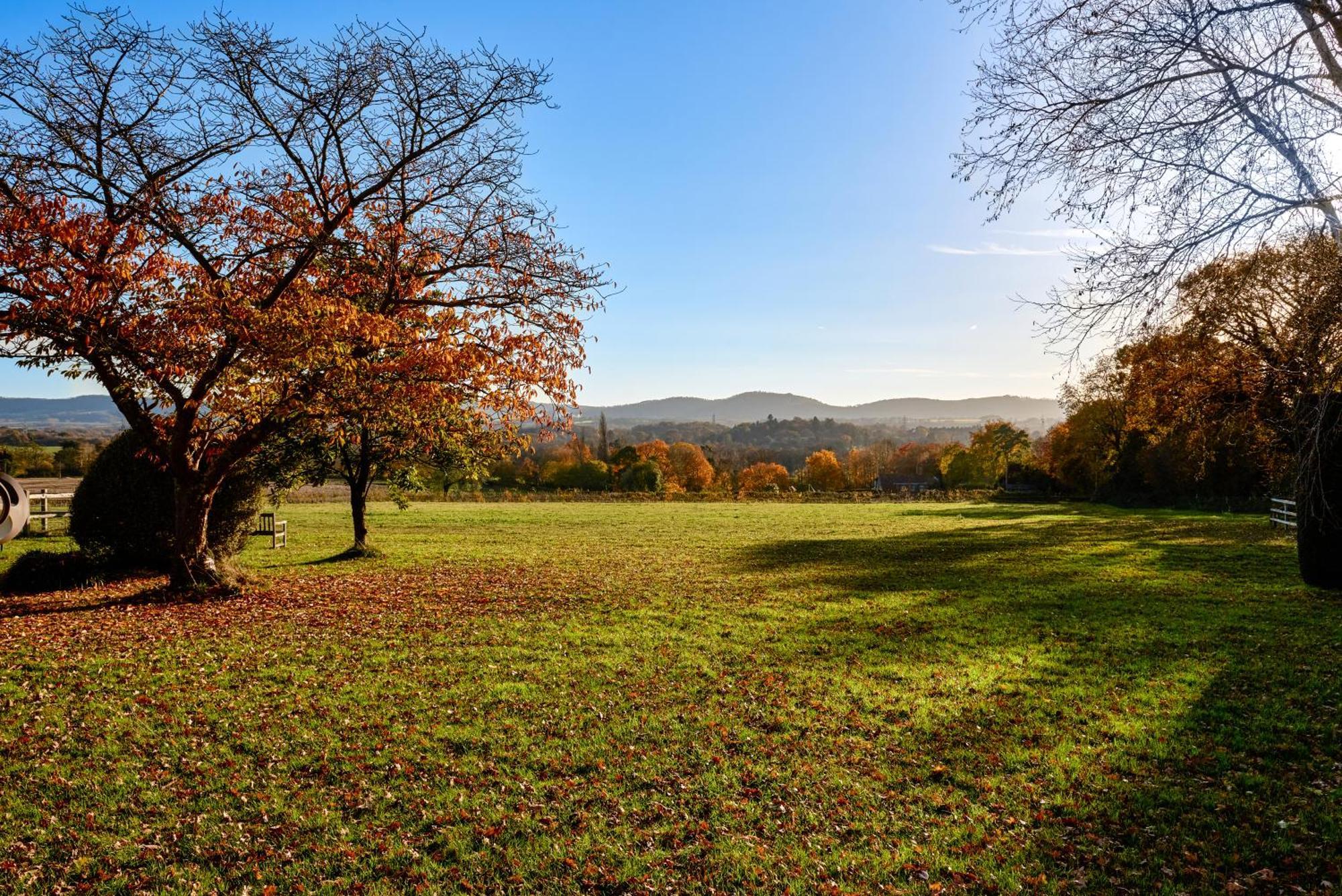 피터스필드 Garden Flat Near Goodwood With Stunning Views 아파트 외부 사진